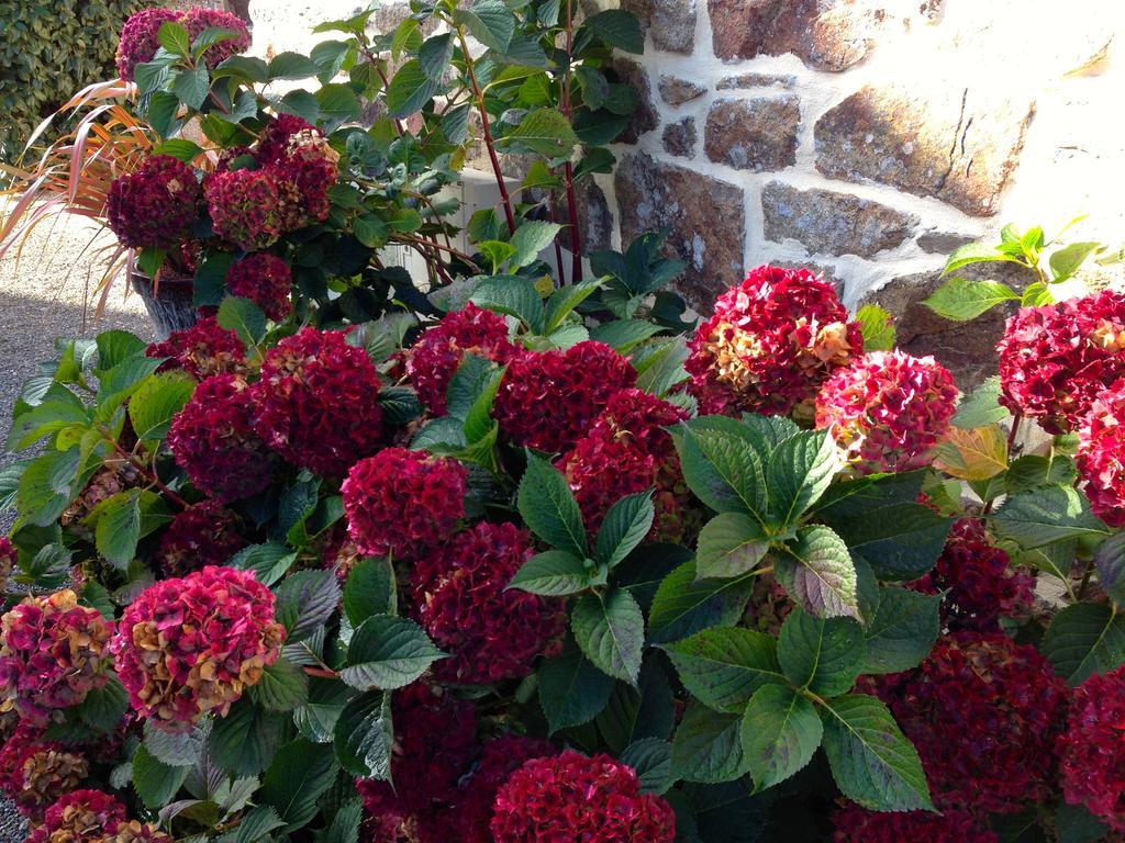 Breizh A-Gevret Bed & Breakfast Lannion Exterior photo